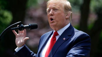 Watters: Dems' threat to withhold Trump admin officials' salaries 'brass knuckle tactics'