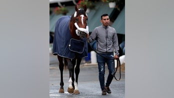 Maximum Security owner issues $20 million challenge to Kentucky Derby rivals