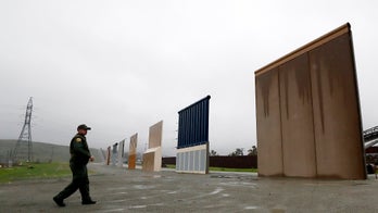 Judge temporarily blocks Trump's border wall construction plans