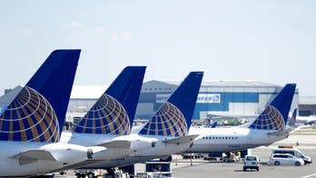 Ants march out of carry-on, ground United Airlines flight at Newark