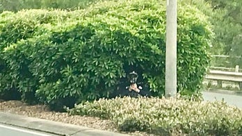 Drivers bust cop hiding in bushes with radar gun