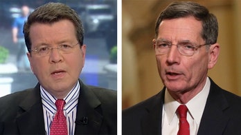 Trump impeachment calls will find 'no appetite in the US Senate,' top GOP lawmaker says after Amash tweets