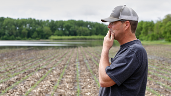 Soggy fields leave Midwestern farmers with few good answers