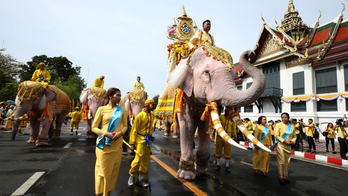 Elephants kneel in ritual tribute to Thailand's new king