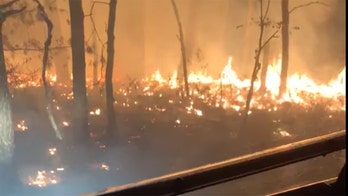 Illegal fireworks likely cause of Cape Cod brush fire, officials say