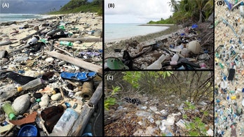 414 million pieces of trash found on remote islands near Australia, study finds