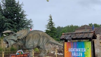 Boy, 6, reportedly in critical condition after falling 15 feet from roller coaster