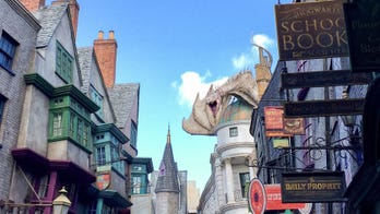 Universal reveals magically life-like animatronic for new Harry Potter ride