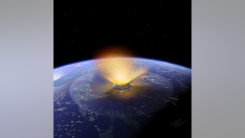 How life on Earth could come back from a sterilizing asteroid impact