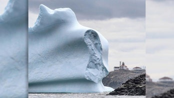 Stunning 'iceberg alley' pictures show colossal bergs passing by Canada's coast
