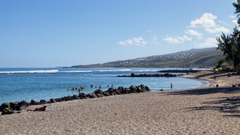 Surfer killed by shark off coast of France's Reunion island: officials