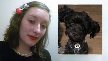 American Airlines accidentally sent dog to wrong city