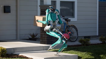 Ford's self-driving cars may have delivery robots because humans are too lazy