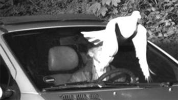 Police say 'Holy Spirit' saved speeder from ticket