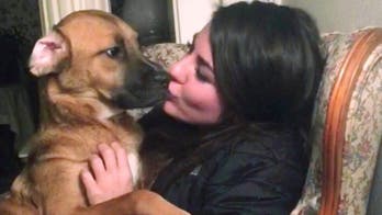 Maine's top court decides dog's owner in odd, bitter custody dispute