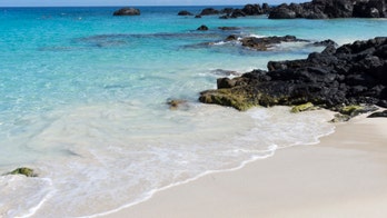 Hawaii confirms 3 recent cases of rat lungworm disease in US visitors, says tourist ate slug on a dare