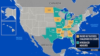 Alabama latest in series of states passing restrictive abortion laws
