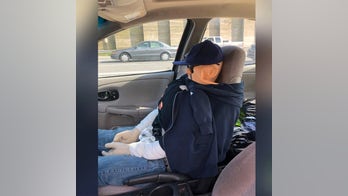 Cop catches driver using HOV lane with dummy in the front seat