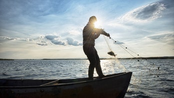 Fisherman, shark have 'tug of war' with fishing net
