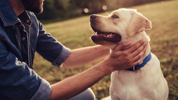 Trusting in Surrender: Lessons in Joy from a Dog and the Grateful Dead