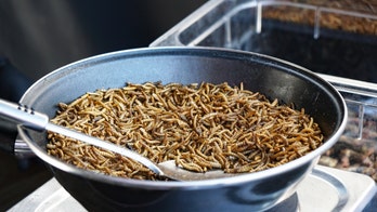 Mealworms show promise as sustainable food source, scientists say