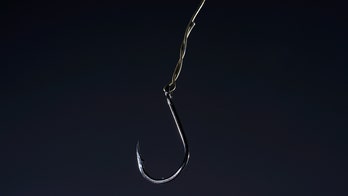 Pennsylvania man allegedly used fishhooks, pole in gruesome 'fishing for cats' plan