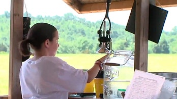 North Carolina sisters selling lemonade to pay off school district's $41G lunch debt