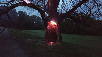 Tree apparently struck by lightning in Massachusetts, leaving spectacular smoldering sight
