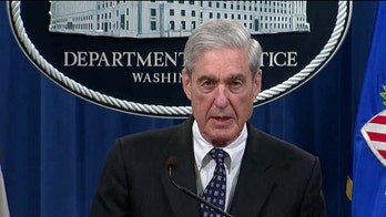 Ex-FBI analyst sentenced for accessing activist’s emails to 'protect Mueller'