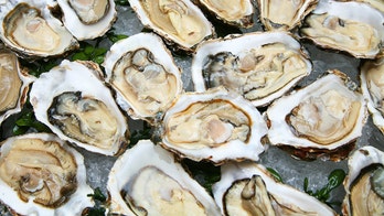 Oysters from Mexico region linked to gastrointestinal illness outbreak, California officials say