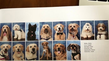 Parkland's Stoneman Douglas therapy dogs featured in yearbook