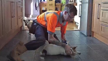 Footage shows man saving pet dog from choking on piece of cheese: 'Literally saved my dog's life'