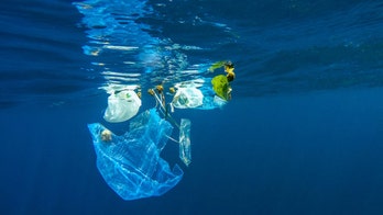 Plastic waste in oceans will triple by 2040, researchers say