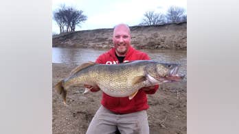 Fisherman's record-breaking catch denied after investigation concludes it was 'foul-hooked'