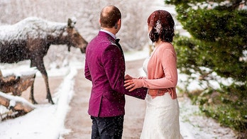 Moose crashes snowy Colorado elopement, provides no objections to the secret union