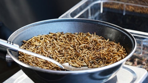 Mealworms show promise as sustainable food source, scientists say