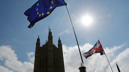 UK woman, 71, unmasked as culprit behind anti-Brexit graffiti