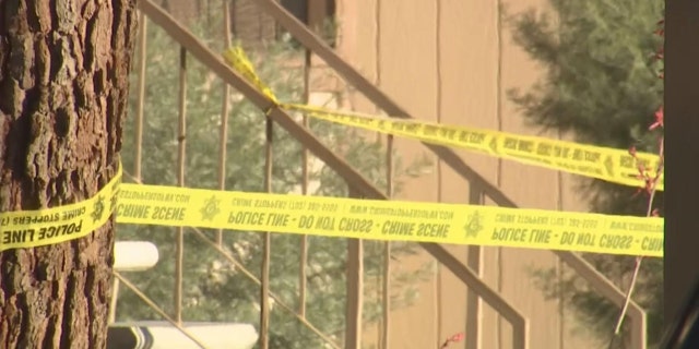 Type of media: Image<br>
Caption: A Las Vegas woman was arrested on suspicion of murder after cops say she drowned her 2-year-old daughter in the bathtub.