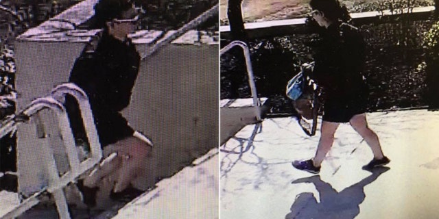 Someone stole a bag a "valuable items" from an altar server during mass at St. Charles Church in Washington Township on April 7, police said.