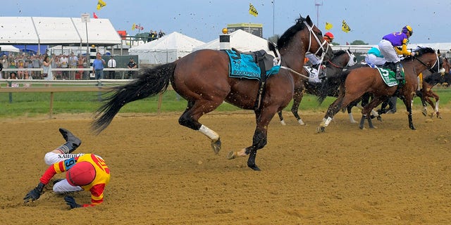 Jockey John Velazquez tumbles to the track after falling off Bodexpress (9) as the field breaks from the starting gate in the 144th Preakness Stakes horse race at Pimlico race course, Saturday, May 18, 2019, in Baltimore. (Associated Press)