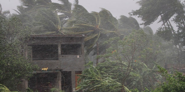 An abandoned house and trees bend with gusty winds ahead of the landfall of cyclone Fani on the outskirts of Puri, in the Indian state of Odisha. (AP Photo)