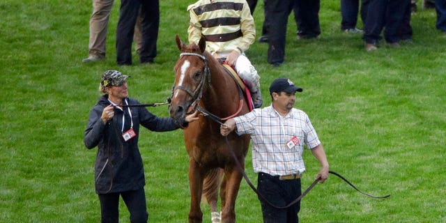 Flavien Prat on Country House reacts after the 145th running of the Kentucky Derby horse race at Churchill Downs in Louisville, Ky. Kentucky Derby winner Country House will not run in the Preakness. Assistant trainer Riley Mott confirmed to The Associated Press on Tuesday, May 7 that the longshot winner of horse racing’s biggest event is no longer being considered for the second jewel of the Triple Crown. Country House was named the winner of the Kentucky Derby after Maximum Security was disqualified. (AP Photo/Charlie Riedel, File)