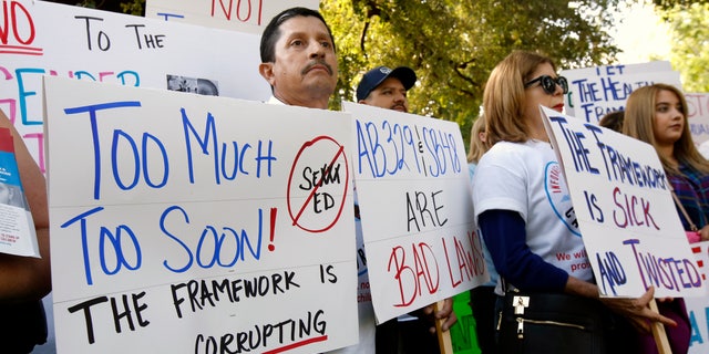 Opponents of a proposal to makes changes to the sex education guidance for teachers, rallied at the Capitol Wednesday, Mayo 8, 2019, en sacramento, Calif.