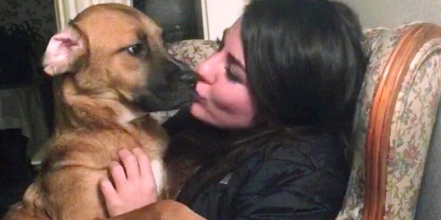 Jessica Sardina is fighting for custody of a dog named Honey, pictured here, that she shared with her ex-boyfriend.<br data-cke-eol="1">