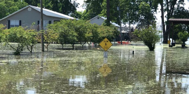 Residents of Eagle Lake, Mississippi getting around by boat as flood water rises more than halfway up trees and poles. (Fox News/Charles Watson)