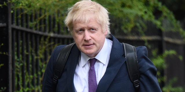 Boris Johnson is in the running for leader of the Conservative party following the announcement of Prime Minister Theresa May's resignation.