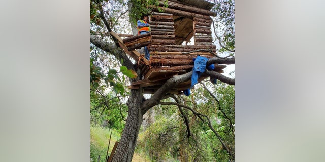 Police say Duda was living in a "modern treehouse."