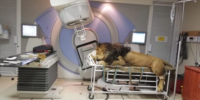 Chaos was treated for skin cancer at the Muelmed Mediclinic.