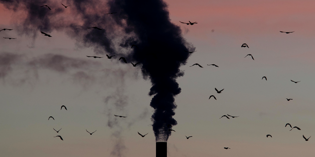 A smoking chimney in Ludwigshafen, Germany.(AP Photo/Michael Probst, File)