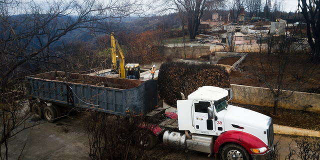 FILE - In this Feb. 8, 2019 file photo, an excavator loads debris onto a truck while clearing a property burned by the Camp Fire in Paradise, Calif. Fears of harming an endangered frog species have forced crews to delay cleaning debris from about 800 properties in Paradise, angering some residents anxious to start rebuilding their homes. (AP Photo/Noah Berger, File)